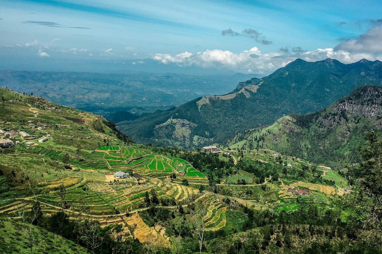 A panoramic view of terraced fields on a mountainous landscape under a blue sky with white clouds.